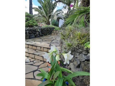 Finca La Guapa - Outdoor photo 34