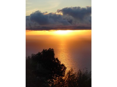 Finca La Guapa - Features photo 39