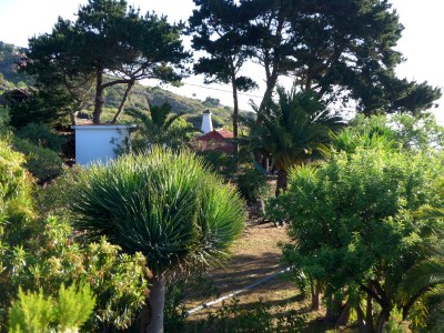 Finca La Guapa - Environment photo 41