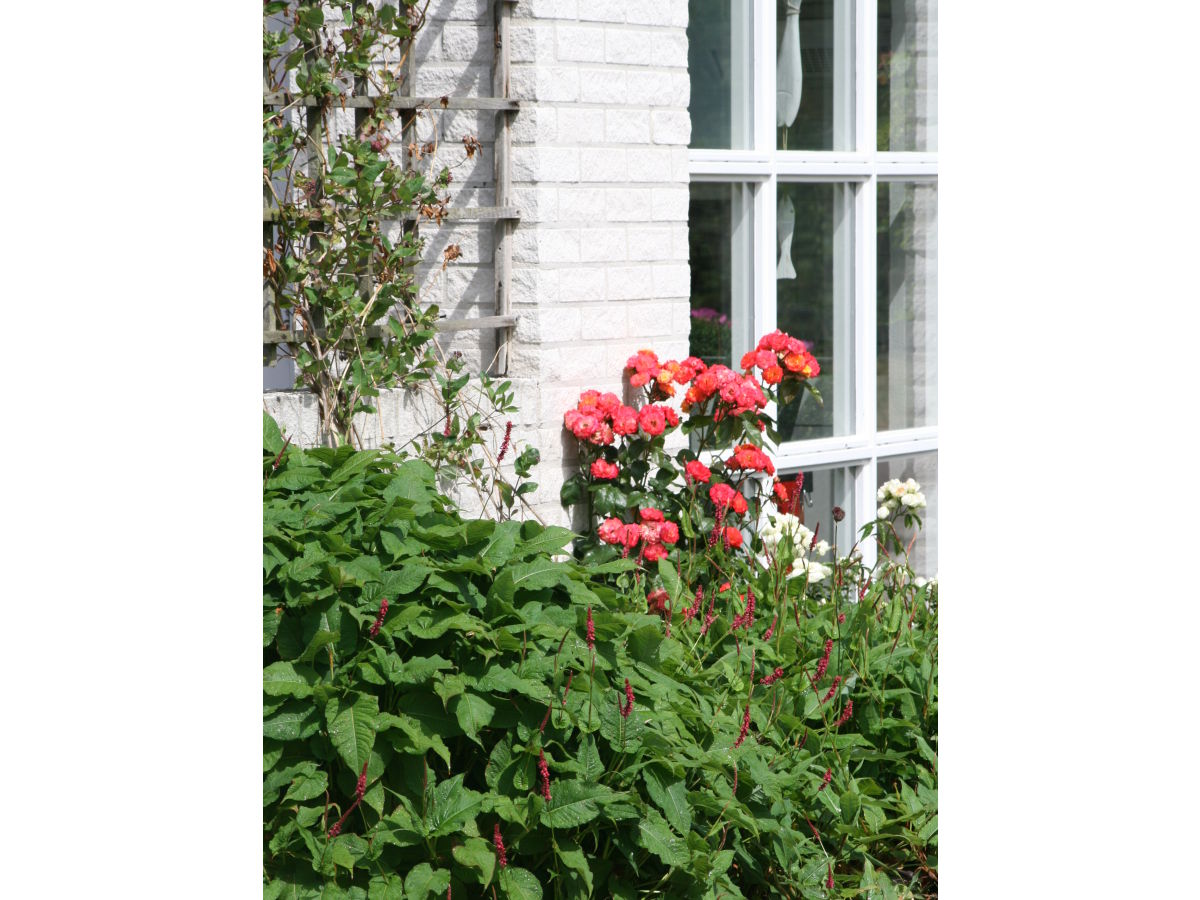 Holiday house Tolsdorf - Outdoor photo 3