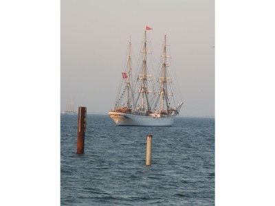 Holiday house Tolsdorf - Environment photo 23