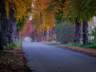 Holiday apartment Captains´Finest - Environment photo 20