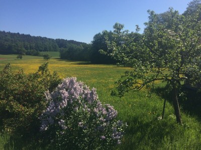 Holiday house Bramberger Mühle - Outdoor photo 19