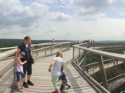 Holiday house Bramberger Mühle - Environment photo 33