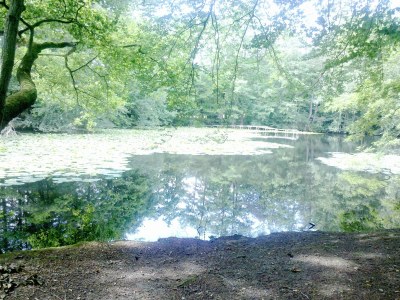 Holiday apartment Eilers - Environment photo 19