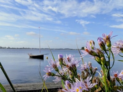 Holiday house Meerkatze - Outdoor photo 14