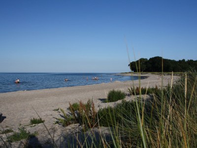 Holiday house Meerkatze - Environment photo 31