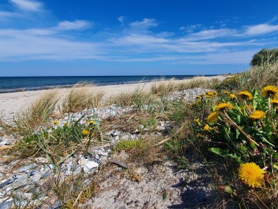 Holiday house Meerkatze - Environment photo 32