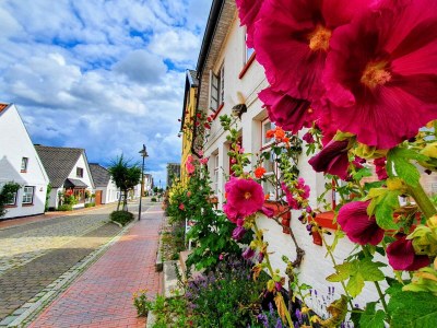 Holiday house Meerkatze - Environment photo 39