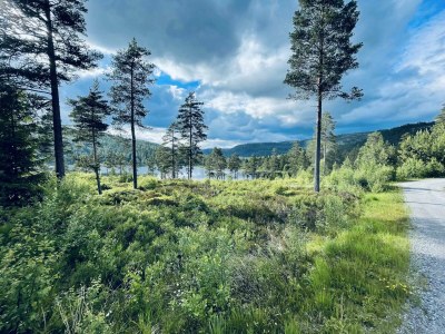 Holiday house "NisseHus" - Outdoor photo 12