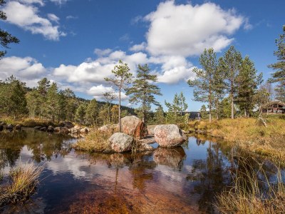 Holiday house "NisseHus" - Environment photo 23