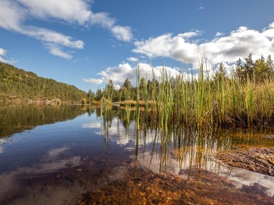 Holiday house "NisseHus" - Environment photo 25