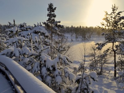 Holiday house "NisseHus" - Environment photo 26