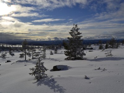 Holiday house "NisseHus" - Environment photo 27