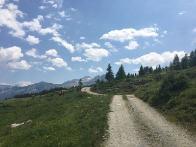 Holiday house GipfelStürmer - Environment photo 19