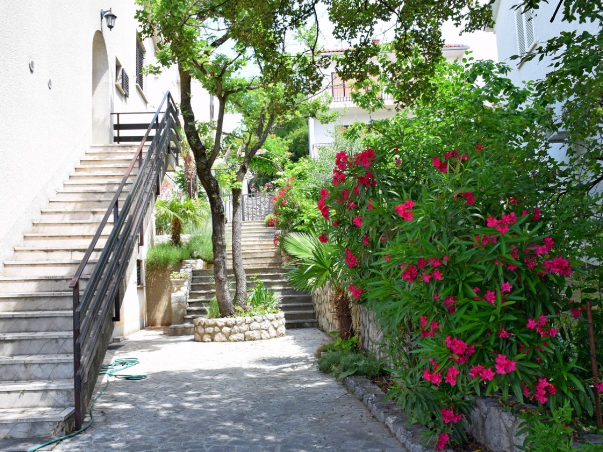 Holiday house Ropac - Outdoor photo 5