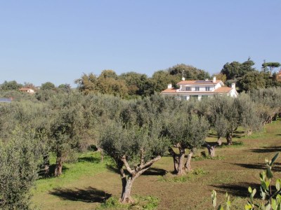 Holiday apartment Villa Stauder - Holiday Apartment Olivi - Outdoor photo 6