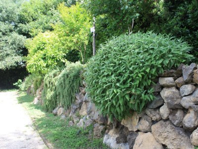 Holiday apartment Villa Stauder - Holiday Apartment Olivi - Outdoor photo 7