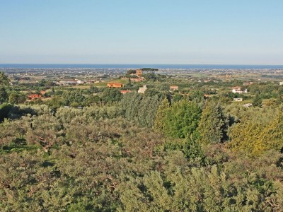 Holiday apartment Villa Stauder - Holiday Apartment Olivi - Outdoor photo 10