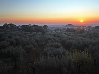 Holiday apartment Villa Stauder - Holiday Apartment Olivi - Outdoor photo 11