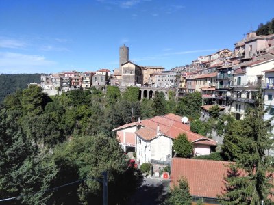 Holiday apartment Villa Stauder - Holiday Apartment Olivi - Environment photo 23