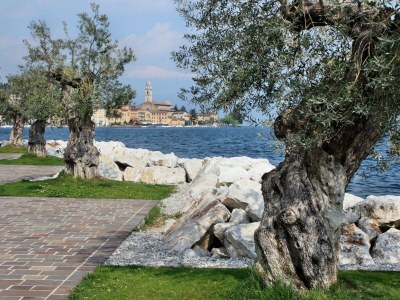 Holiday apartment Casa Marsilva - Holiday Apartment Near the Lake - Environment photo 33