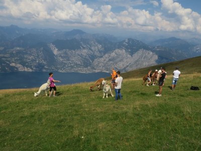 Holiday apartment Casa Marsilva - Holiday Apartment Near the Lake - Environment photo 40