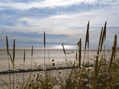 Holiday house La p'tite maison de la bergère - Environment photo 18