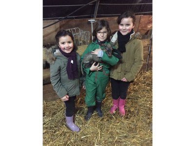 Holiday house La p'tite maison de la bergère - Environment photo 19