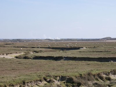 Holiday house La p'tite maison de la bergère - Environment photo 21