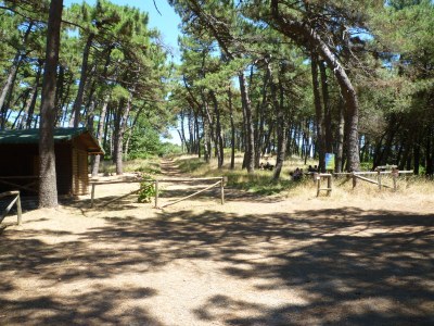 Holiday apartment Lulu - Environment photo 21