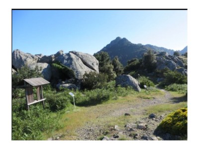 Holiday apartment Lulu - Environment photo 24