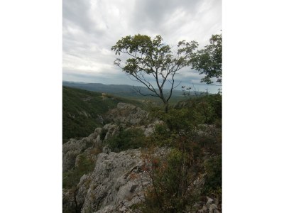 Holiday apartment Sunrise D - Environment photo 25