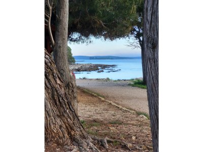 Holiday apartment Sunrise D - Environment photo 31