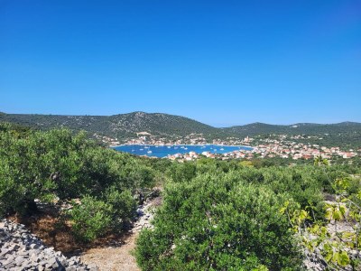 Apartment Villa Octopus 4 - Environment photo 37