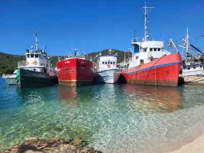 Apartment Villa Octopus 4 - Environment photo 39