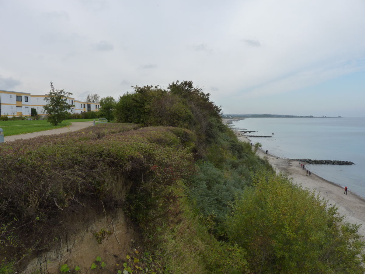 Holiday apartment Hohes Ufer mit Meerblick - Outdoor photo 4