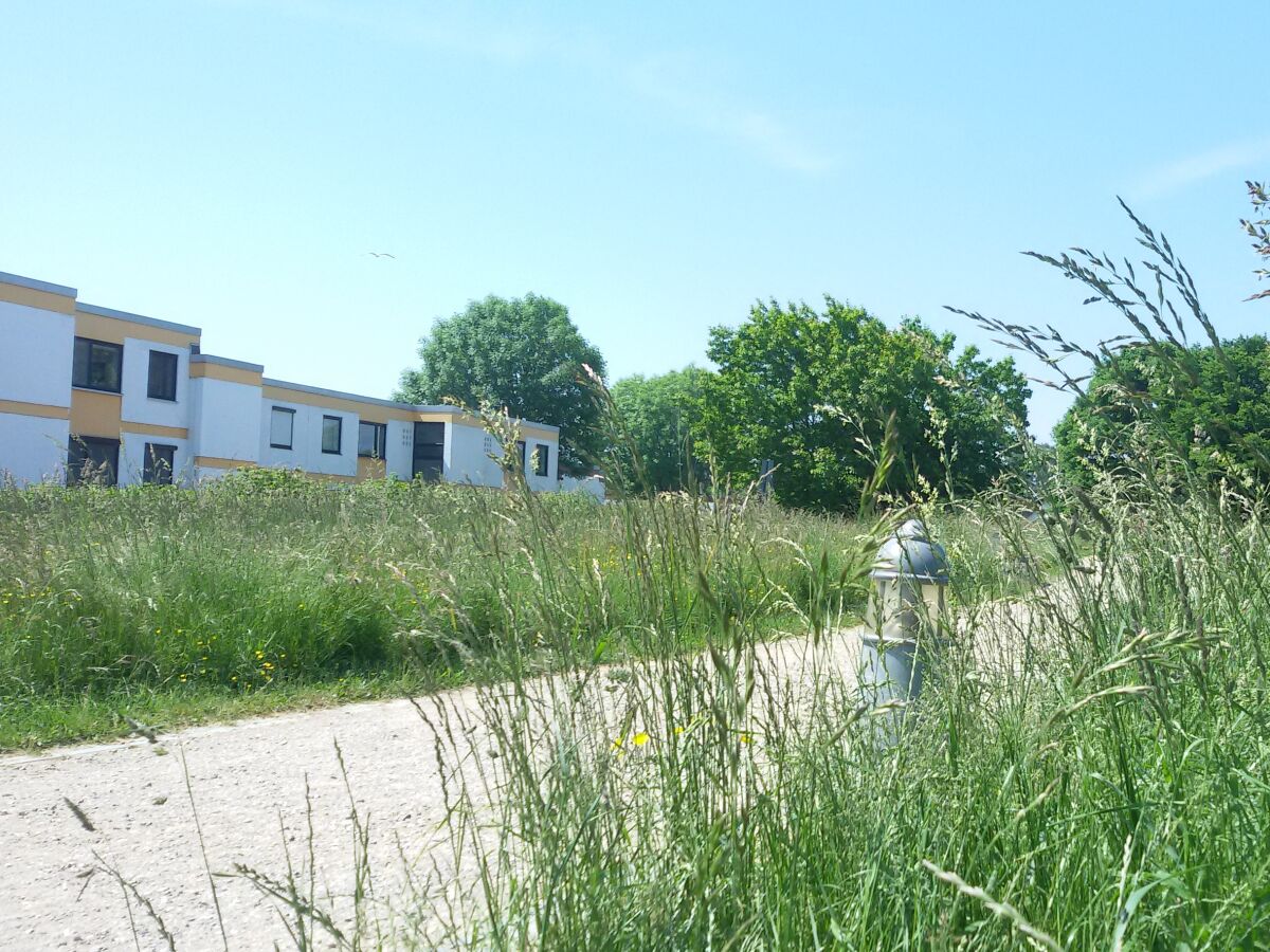 Holiday apartment Hohes Ufer mit Meerblick - Outdoor photo 5