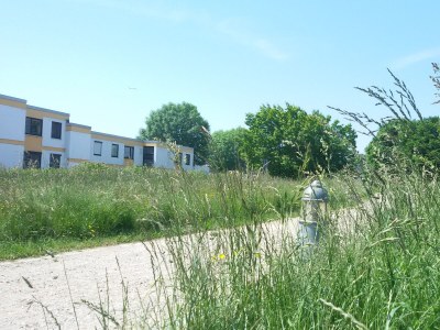 Holiday apartment Hohes Ufer mit Meerblick - Outdoor photo 5