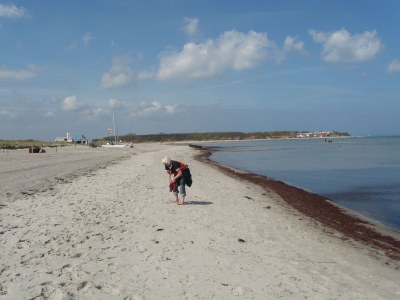 Holiday apartment Hohes Ufer mit Meerblick - Environment photo 23