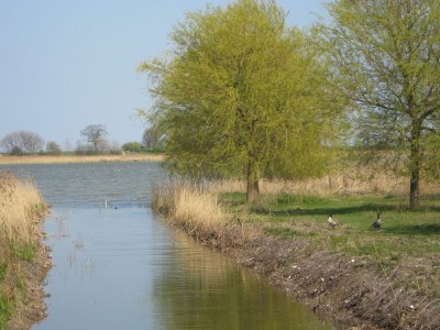 Holiday apartment Hohes Ufer mit Meerblick - Environment photo 29
