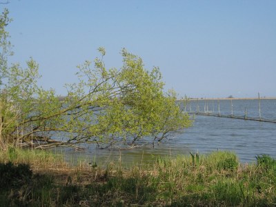 Holiday apartment Hohes Ufer mit Meerblick - Environment photo 30