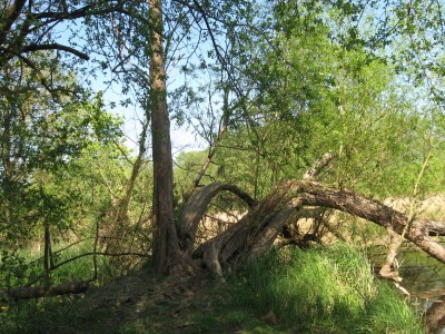 Holiday apartment Hohes Ufer mit Meerblick - Environment photo 31