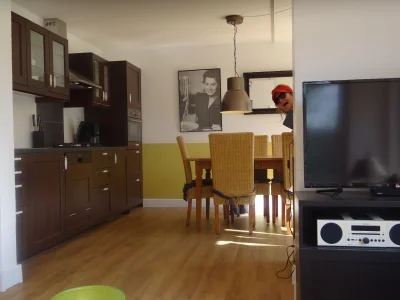 Holiday house The Yellow House in Vrouwenpolder - Holiday house