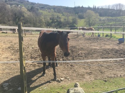 Holiday house Nadia - Environment photo 18