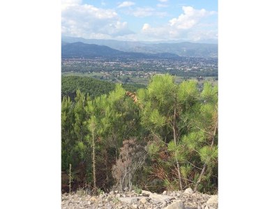 Holiday house Nadia - Environment photo 19