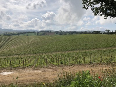 Holiday house Nadia - Environment photo 20