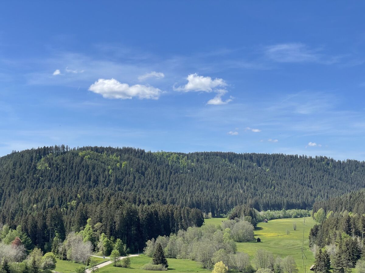 Holiday house Seewald- Ferienhaus - Outdoor photo 5