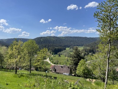 Holiday house Seewald- Ferienhaus - Outdoor photo 4