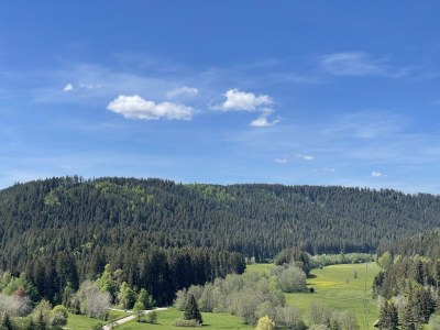 Holiday house Seewald- Ferienhaus - Outdoor photo 5